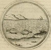 Picture 218 of 544 from Symboloru[m] & emblematum ex re herbaria desumtorum centuria vna[-quarta] collecta (1654), leaf 278