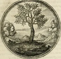 Picture 20 of 544 from Symboloru[m] & emblematum ex re herbaria desumtorum centuria vna[-quarta] collecta (1654), leaf 28