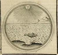 Picture 219 of 544 from Symboloru[m] & emblematum ex re herbaria desumtorum centuria vna[-quarta] collecta (1654), leaf 280