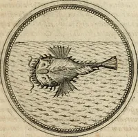 Picture 222 of 544 from Symboloru[m] & emblematum ex re herbaria desumtorum centuria vna[-quarta] collecta (1654), leaf 288