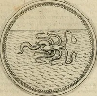 Picture 227 of 544 from Symboloru[m] & emblematum ex re herbaria desumtorum centuria vna[-quarta] collecta (1654), leaf 298