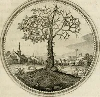Picture 22 of 544 from Symboloru[m] & emblematum ex re herbaria desumtorum centuria vna[-quarta] collecta (1654), leaf 30