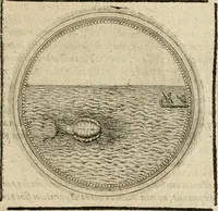 Picture 231 of 544 from Symboloru[m] & emblematum ex re herbaria desumtorum centuria vna[-quarta] collecta (1654), leaf 306