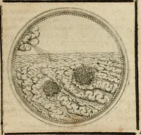 Picture 234 of 544 from Symboloru[m] & emblematum ex re herbaria desumtorum centuria vna[-quarta] collecta (1654), leaf 312