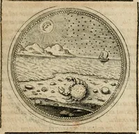 Picture 235 of 544 from Symboloru[m] & emblematum ex re herbaria desumtorum centuria vna[-quarta] collecta (1654), leaf 314