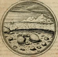 Picture 236 of 544 from Symboloru[m] & emblematum ex re herbaria desumtorum centuria vna[-quarta] collecta (1654), leaf 316
