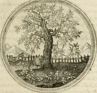 Picture 24 of 544 from Symboloru[m] & emblematum ex re herbaria desumtorum centuria vna[-quarta] collecta (1654), leaf 32