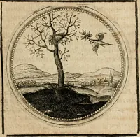 Picture 243 of 544 from Symboloru[m] & emblematum ex re herbaria desumtorum centuria vna[-quarta] collecta (1654), leaf 330