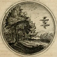 Picture 246 of 544 from Symboloru[m] & emblematum ex re herbaria desumtorum centuria vna[-quarta] collecta (1654), leaf 336