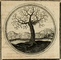 Picture 247 of 544 from Symboloru[m] & emblematum ex re herbaria desumtorum centuria vna[-quarta] collecta (1654), leaf 338