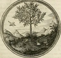 Picture 26 of 544 from Symboloru[m] & emblematum ex re herbaria desumtorum centuria vna[-quarta] collecta (1654), leaf 34