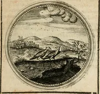 Picture 248 of 544 from Symboloru[m] & emblematum ex re herbaria desumtorum centuria vna[-quarta] collecta (1654), leaf 340
