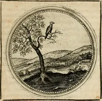 Picture 250 of 544 from Symboloru[m] & emblematum ex re herbaria desumtorum centuria vna[-quarta] collecta (1654), leaf 342