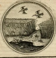 Picture 252 of 544 from Symboloru[m] & emblematum ex re herbaria desumtorum centuria vna[-quarta] collecta (1654), leaf 346