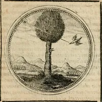 Picture 253 of 544 from Symboloru[m] & emblematum ex re herbaria desumtorum centuria vna[-quarta] collecta (1654), leaf 348