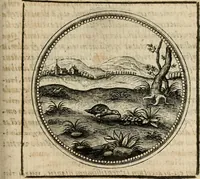 An illustration from Symboloru[m] & emblematum ex re herbaria desumtorum centuria vna[-quarta] collecta (1654)