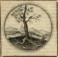 Picture 258 of 544 from Symboloru[m] & emblematum ex re herbaria desumtorum centuria vna[-quarta] collecta (1654), leaf 354