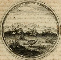 Picture 259 of 544 from Symboloru[m] & emblematum ex re herbaria desumtorum centuria vna[-quarta] collecta (1654), leaf 356