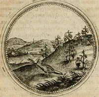 Picture 260 of 544 from Symboloru[m] & emblematum ex re herbaria desumtorum centuria vna[-quarta] collecta (1654), leaf 358