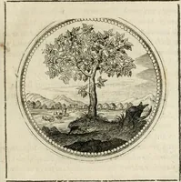 Picture 27 of 544 from Symboloru[m] & emblematum ex re herbaria desumtorum centuria vna[-quarta] collecta (1654), leaf 36