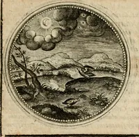 Picture 263 of 544 from Symboloru[m] & emblematum ex re herbaria desumtorum centuria vna[-quarta] collecta (1654), leaf 362