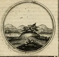 Picture 268 of 544 from Symboloru[m] & emblematum ex re herbaria desumtorum centuria vna[-quarta] collecta (1654), leaf 370