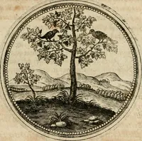 Picture 270 of 544 from Symboloru[m] & emblematum ex re herbaria desumtorum centuria vna[-quarta] collecta (1654), leaf 374