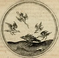 An illustration from Symboloru[m] & emblematum ex re herbaria desumtorum centuria vna[-quarta] collecta (1654)