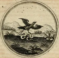 Picture 272 of 544 from Symboloru[m] & emblematum ex re herbaria desumtorum centuria vna[-quarta] collecta (1654), leaf 378