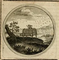 Picture 276 of 544 from Symboloru[m] & emblematum ex re herbaria desumtorum centuria vna[-quarta] collecta (1654), leaf 386