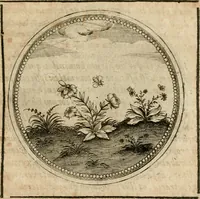 Picture 282 of 544 from Symboloru[m] & emblematum ex re herbaria desumtorum centuria vna[-quarta] collecta (1654), leaf 396