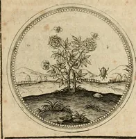 Picture 284 of 544 from Symboloru[m] & emblematum ex re herbaria desumtorum centuria vna[-quarta] collecta (1654), leaf 398