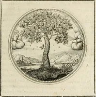 Picture 31 of 544 from Symboloru[m] & emblematum ex re herbaria desumtorum centuria vna[-quarta] collecta (1654), leaf 40
