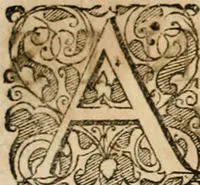 Picture 287 of 544 from Symboloru[m] & emblematum ex re herbaria desumtorum centuria vna[-quarta] collecta (1654), leaf 403