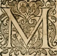 Picture 291 of 544 from Symboloru[m] & emblematum ex re herbaria desumtorum centuria vna[-quarta] collecta (1654), leaf 409