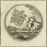 Picture 32 of 544 from Symboloru[m] & emblematum ex re herbaria desumtorum centuria vna[-quarta] collecta (1654), leaf 42