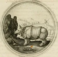 Picture 303 of 544 from Symboloru[m] & emblematum ex re herbaria desumtorum centuria vna[-quarta] collecta (1654), leaf 430