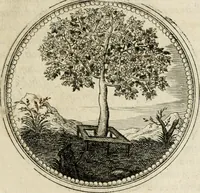 Picture 33 of 544 from Symboloru[m] & emblematum ex re herbaria desumtorum centuria vna[-quarta] collecta (1654), leaf 44