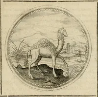 An illustration from Symboloru[m] & emblematum ex re herbaria desumtorum centuria vna[-quarta] collecta (1654)