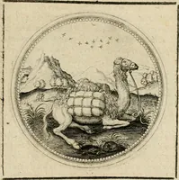 Picture 325 of 544 from Symboloru[m] & emblematum ex re herbaria desumtorum centuria vna[-quarta] collecta (1654), leaf 454