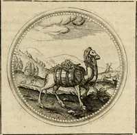 Picture 327 of 544 from Symboloru[m] & emblematum ex re herbaria desumtorum centuria vna[-quarta] collecta (1654), leaf 456