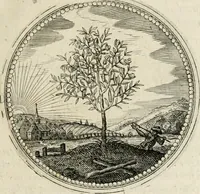 Picture 34 of 544 from Symboloru[m] & emblematum ex re herbaria desumtorum centuria vna[-quarta] collecta (1654), leaf 46