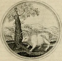 An illustration from Symboloru[m] & emblematum ex re herbaria desumtorum centuria vna[-quarta] collecta (1654)