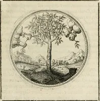 Picture 35 of 544 from Symboloru[m] & emblematum ex re herbaria desumtorum centuria vna[-quarta] collecta (1654), leaf 48