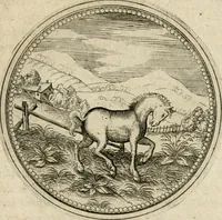 An illustration from Symboloru[m] & emblematum ex re herbaria desumtorum centuria vna[-quarta] collecta (1654)