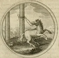 An illustration from Symboloru[m] & emblematum ex re herbaria desumtorum centuria vna[-quarta] collecta (1654)