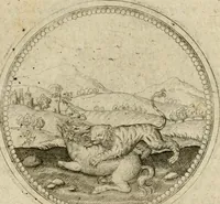 Picture 357 of 544 from Symboloru[m] & emblematum ex re herbaria desumtorum centuria vna[-quarta] collecta (1654), leaf 492