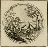Picture 361 of 544 from Symboloru[m] & emblematum ex re herbaria desumtorum centuria vna[-quarta] collecta (1654), leaf 496