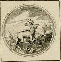 Picture 375 of 544 from Symboloru[m] & emblematum ex re herbaria desumtorum centuria vna[-quarta] collecta (1654), leaf 514