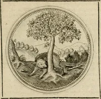 Picture 377 of 544 from Symboloru[m] & emblematum ex re herbaria desumtorum centuria vna[-quarta] collecta (1654), leaf 516